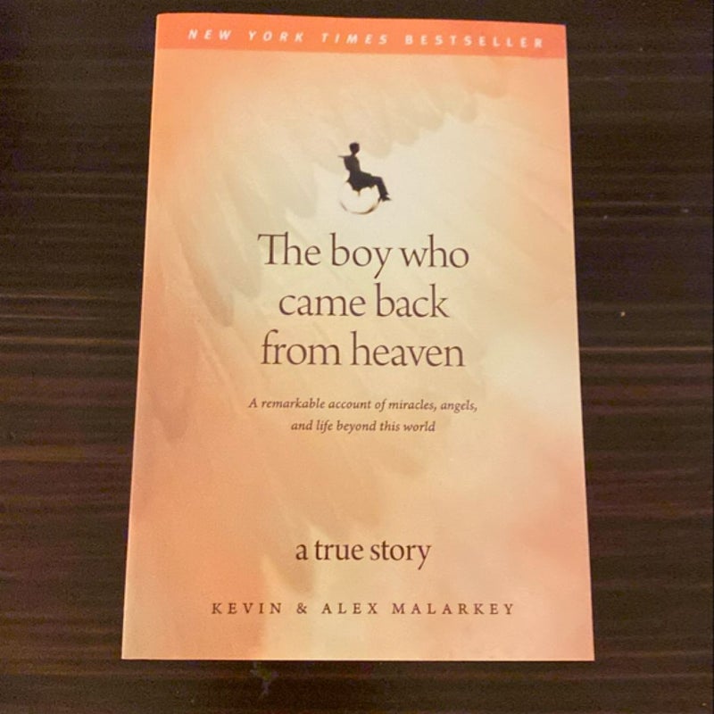 The Boy Who Came Back from Heaven