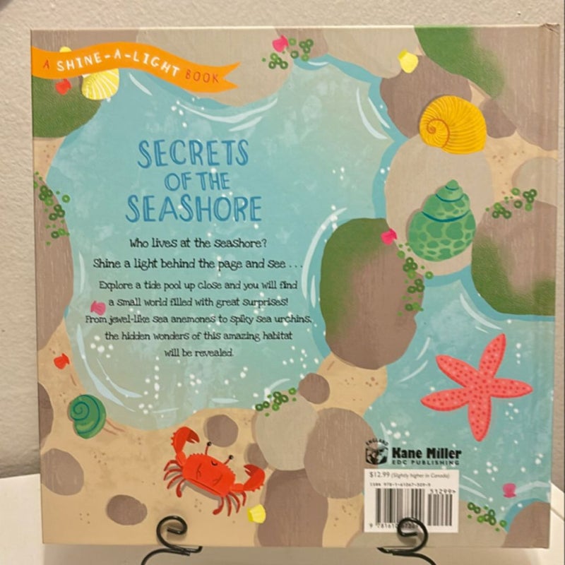 Secrets of the Seashore