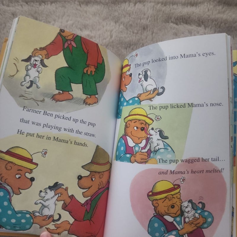 Adventures of the Berenstain Bears