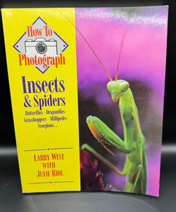 How to Photograph Insects and Spiders