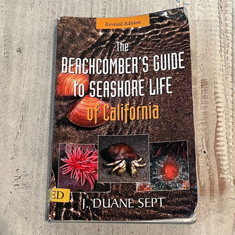 The Beachcomber’s Guide to Seashore Life in California 