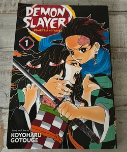 Demon Slayer: Kimetsu No Yaiba, Vol. 1