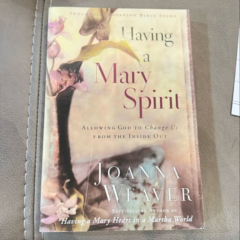 Having a Mary Spirit