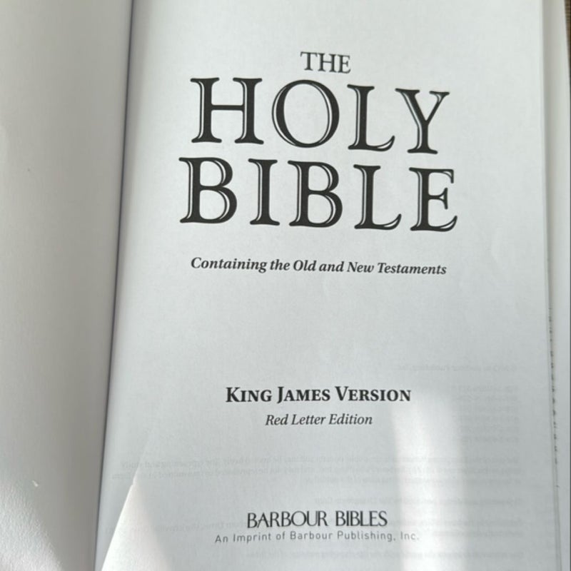 KJV Deluxe Gift and Award Bible (Gray)