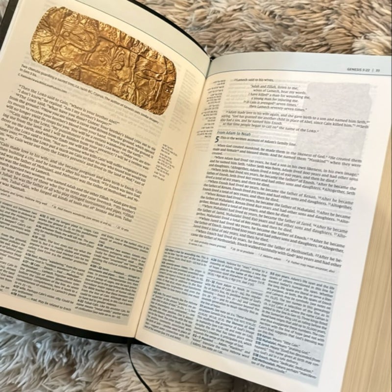 NIV Biblical Theology Study Bible