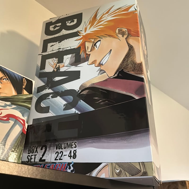 Bleach Box Set 2