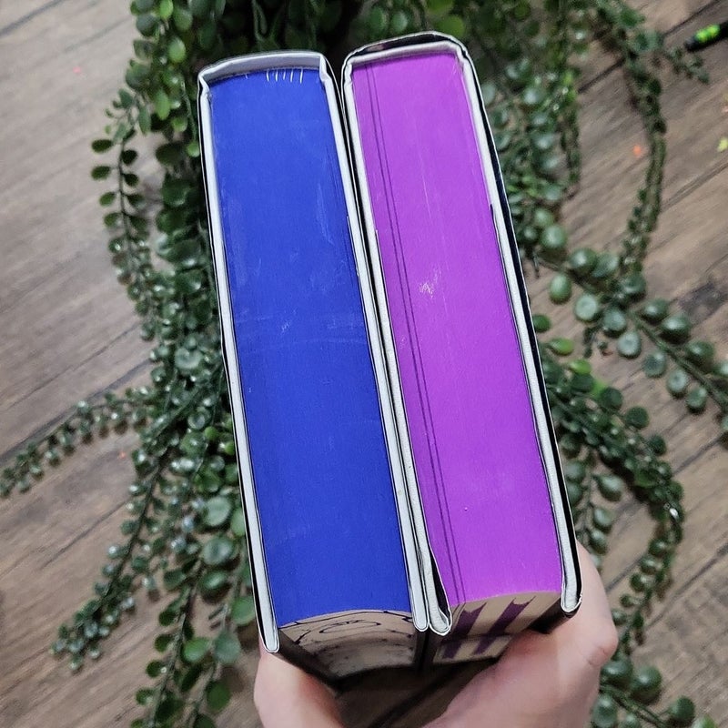 The Prison Healer & The Blood Traitor - Fairyloot