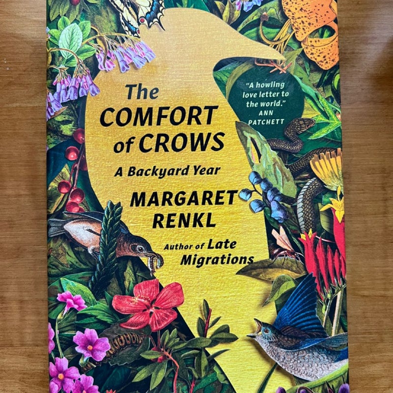 The Comfort of Crows