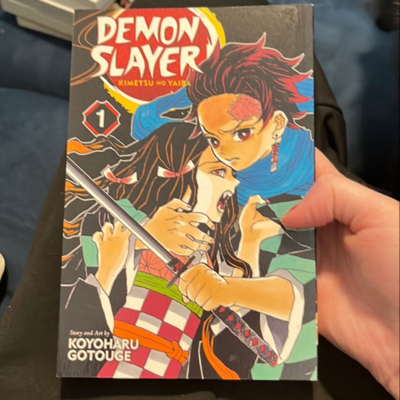 Demon Slayer: Kimetsu No Yaiba, Vol. 1