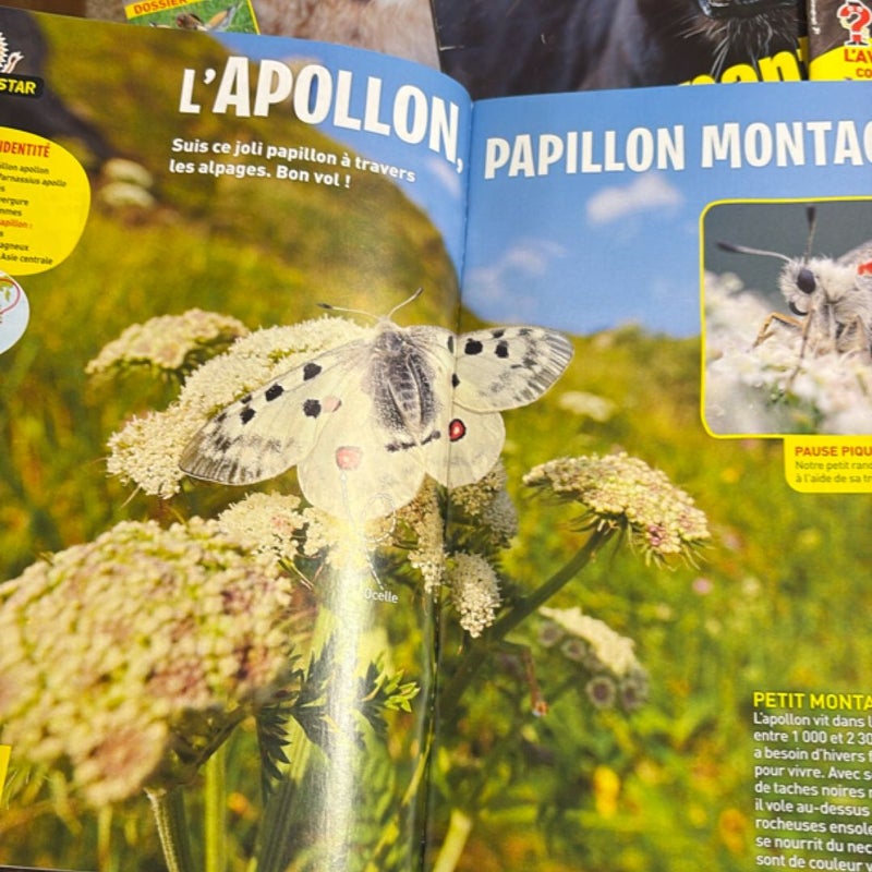 Wapiti Magazine Lot 9 French kids 