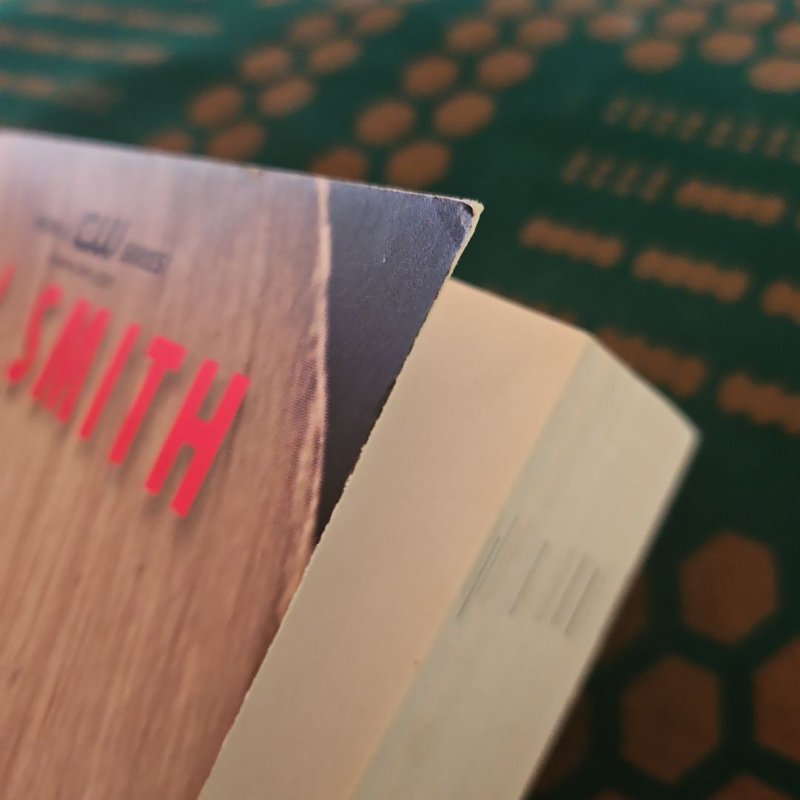 The Vampire Diaries: the Fury and Dark Reunion