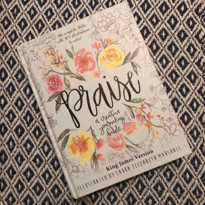 Praise: A Creative Journaling Bible