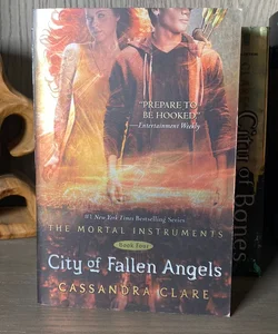 City of Fallen Angels