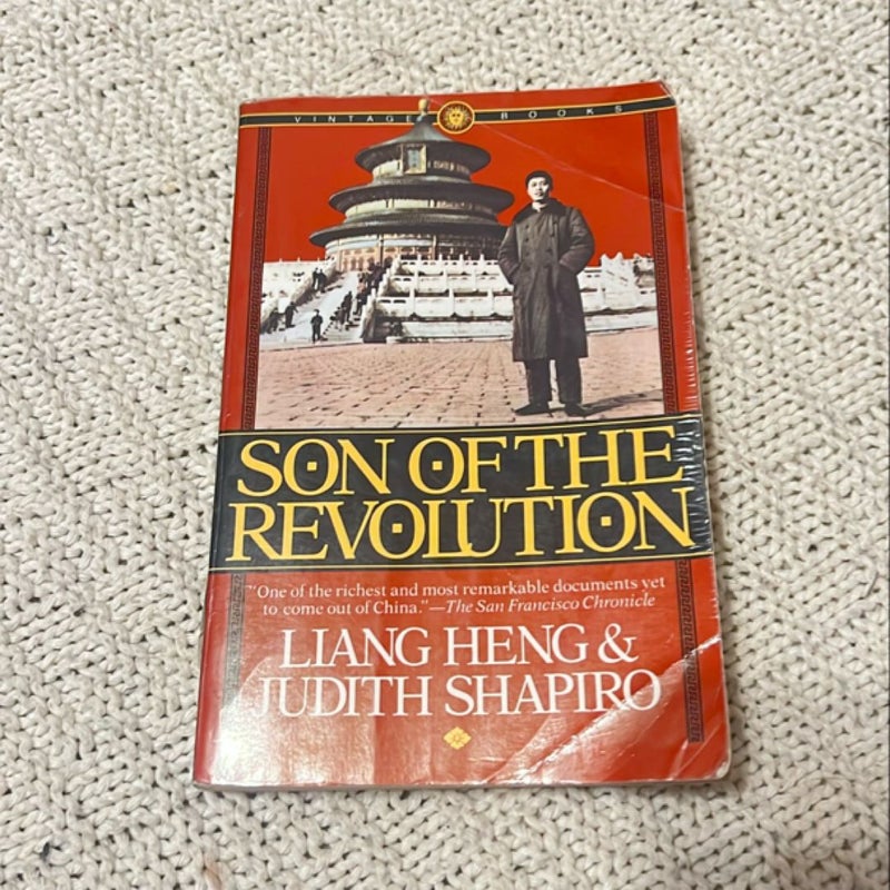 Son of the Revolution