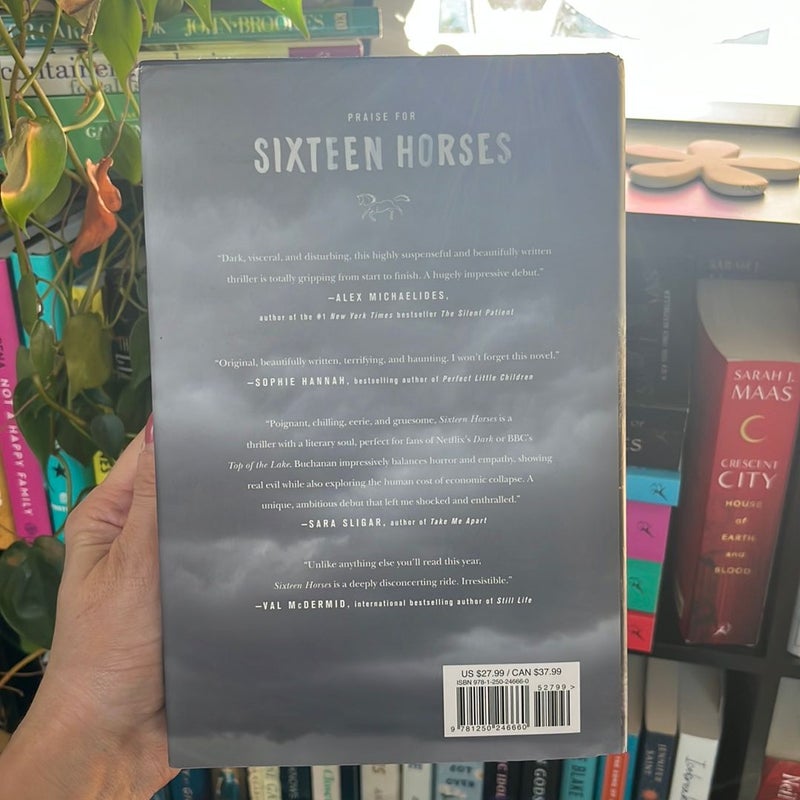 Sixteen Horses