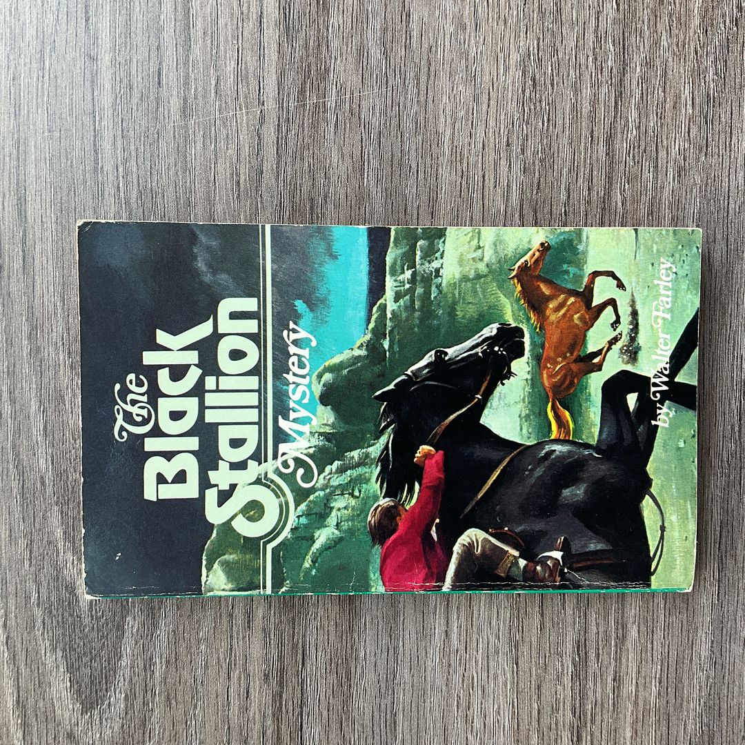 The Black Stallion Mystery