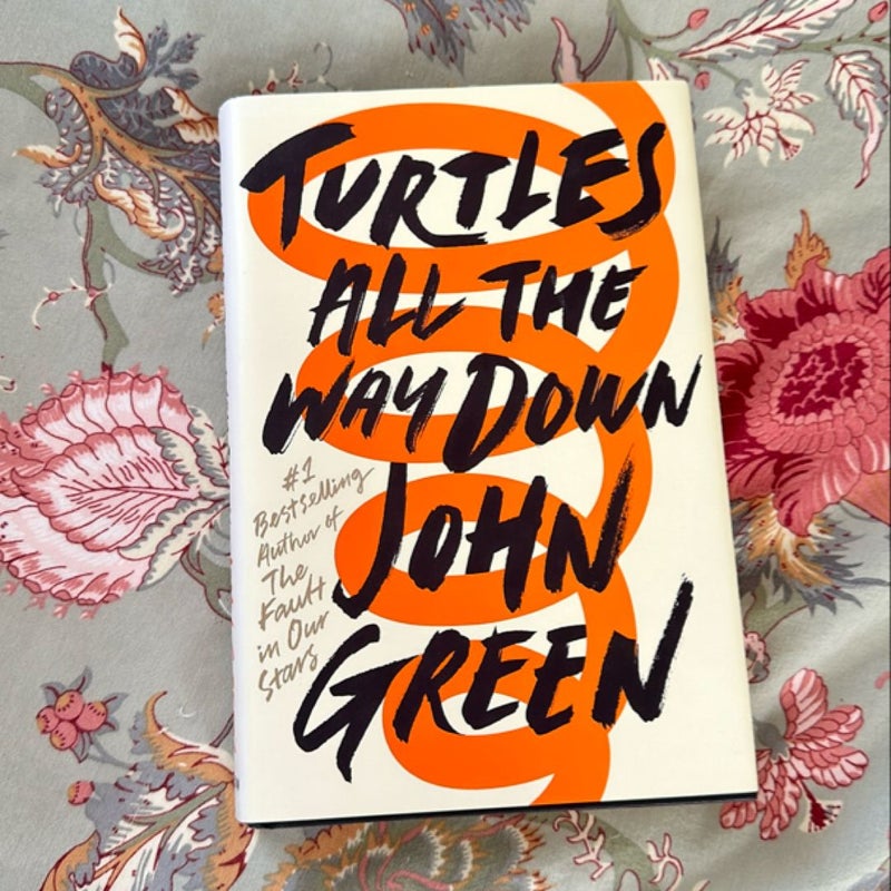 Turtles All the Way Down