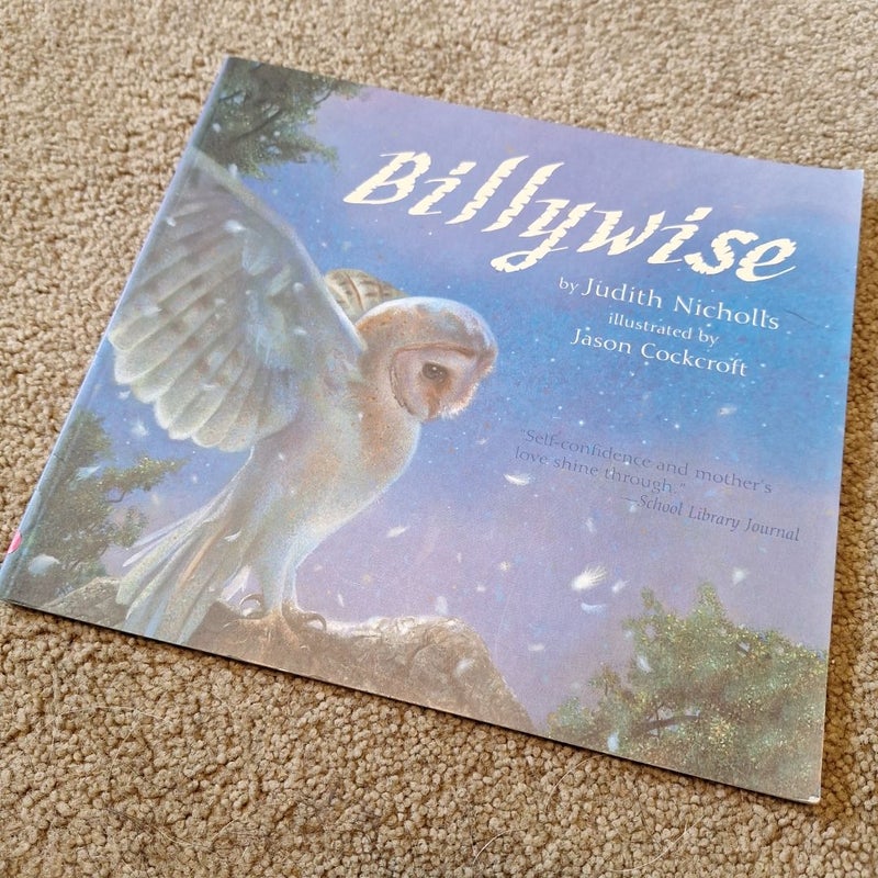 Billywise