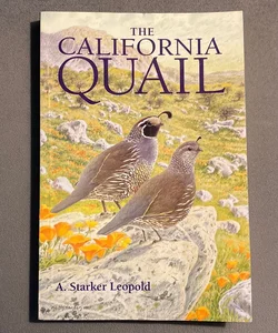 The California Quail