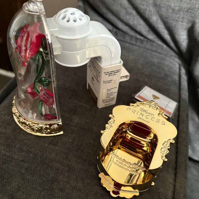 Belle BBW light up pocketbac and rose wallflower 
