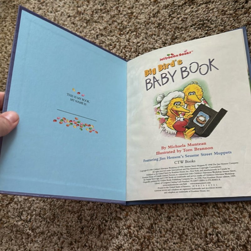 Big bird’s baby book