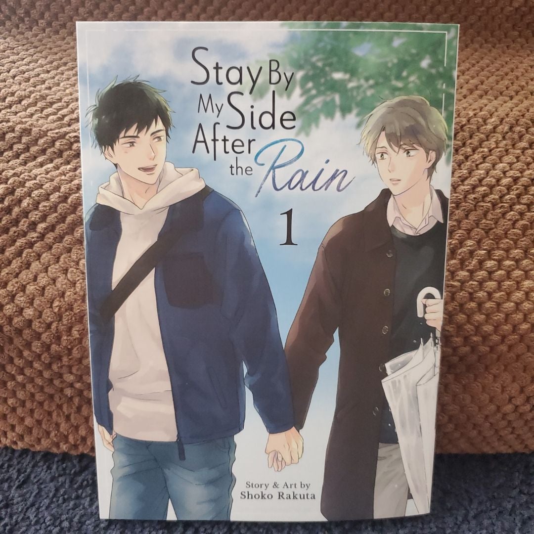 Stay by My Side after the Rain Vol. 1