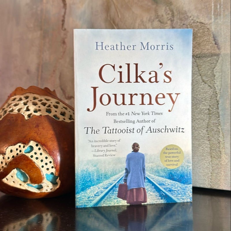 Cilka's Journey