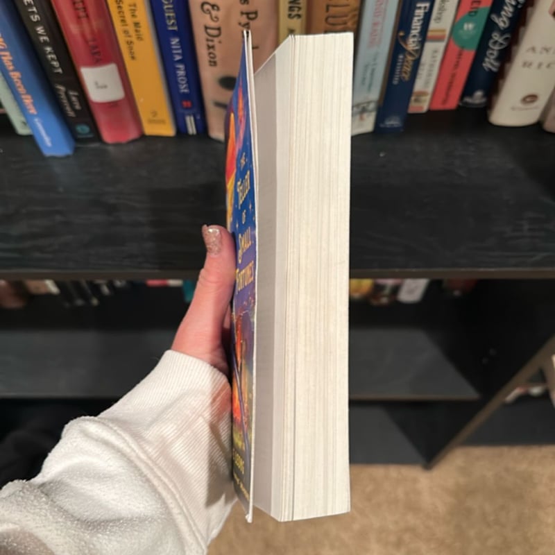 The Teller of Small Fortunes