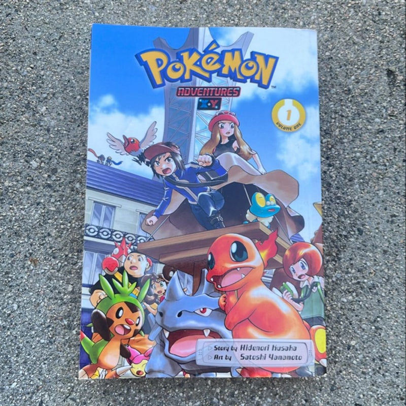 Pokémon Adventures: X*y, Vol. 1