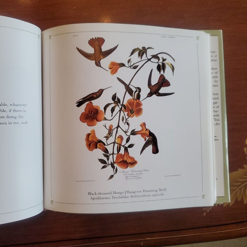 Audubon's Art and Nature