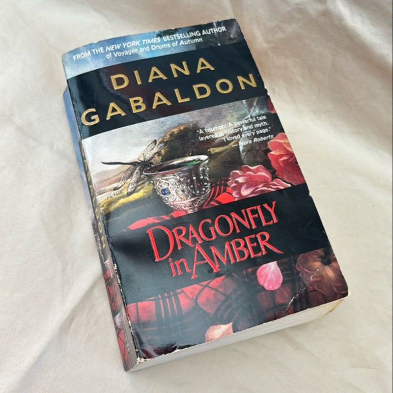 Dragonfly in Amber