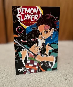 Demon Slayer: Kimetsu No Yaiba, Vol. 1