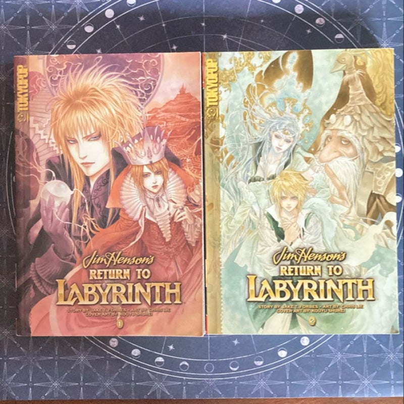 Return to Labyrinth volumes 1-4 (complete)