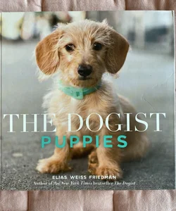 The Dogist Puppies