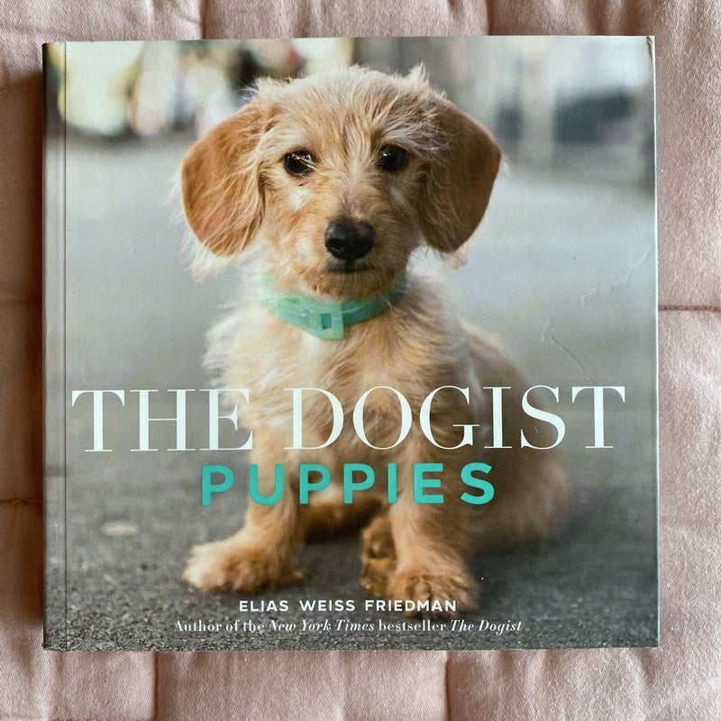 The Dogist Puppies