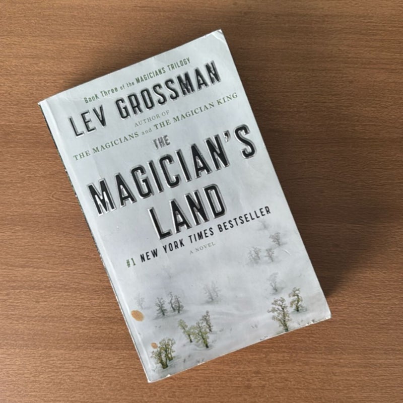 The Magician's Land