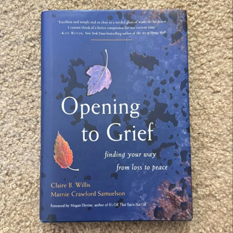 Opening to Grief