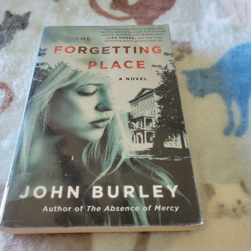 The Forgetting Place