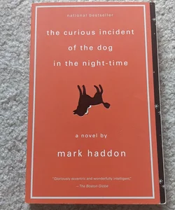 The Curious Incident of the Dog in the Night-Time