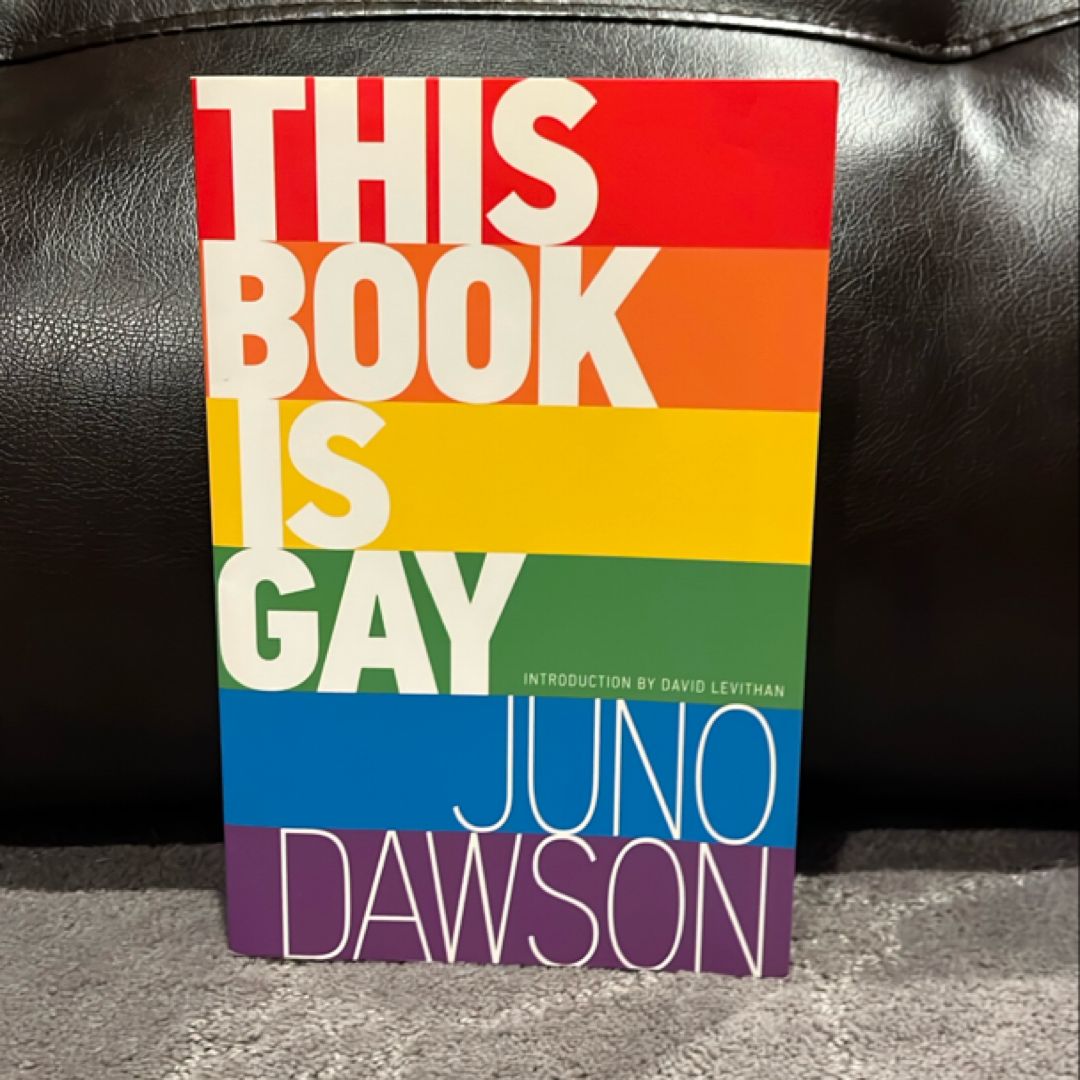 This Book Is Gay