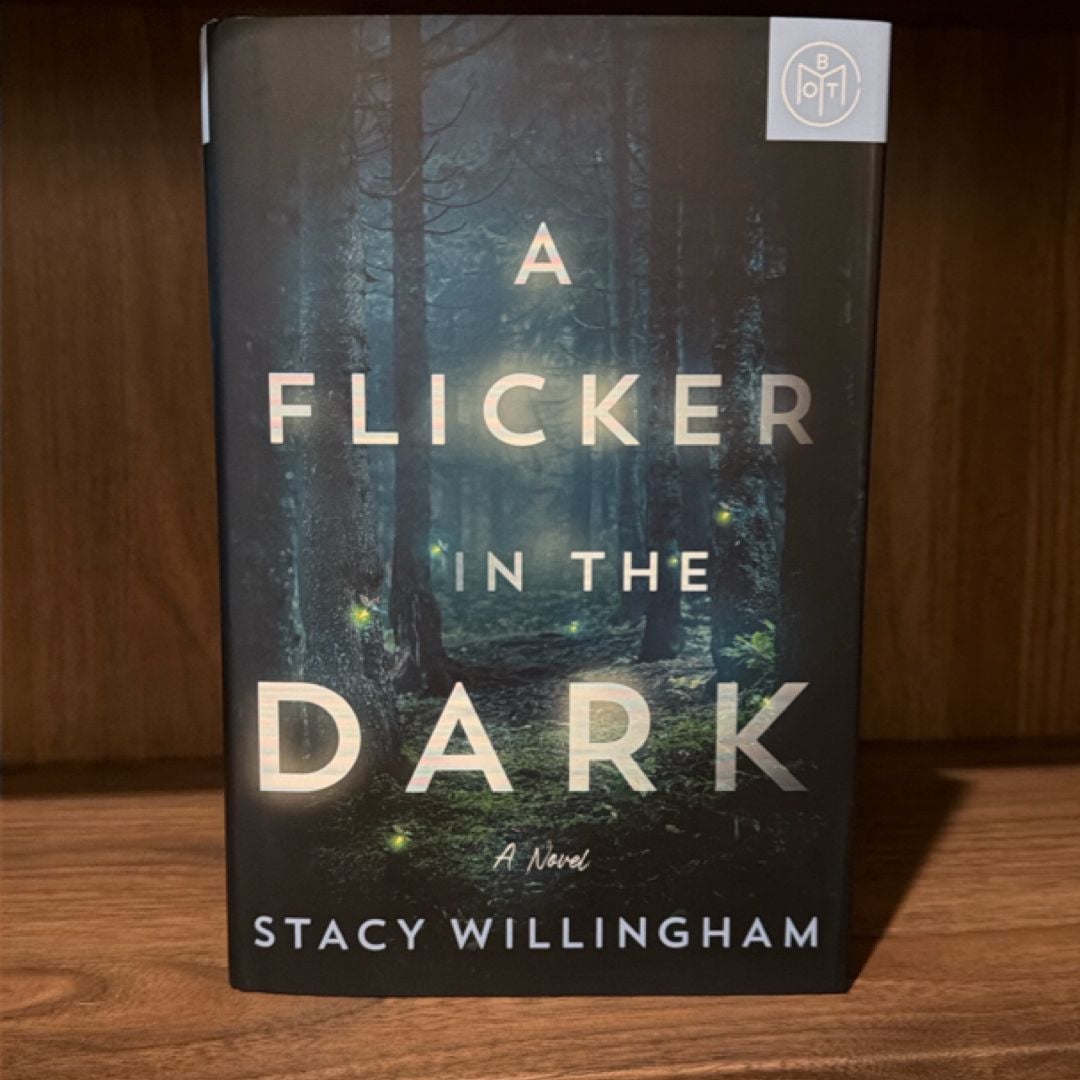A Flicker in the Dark by Stacy Willingham, Hardcover | Pangobooks