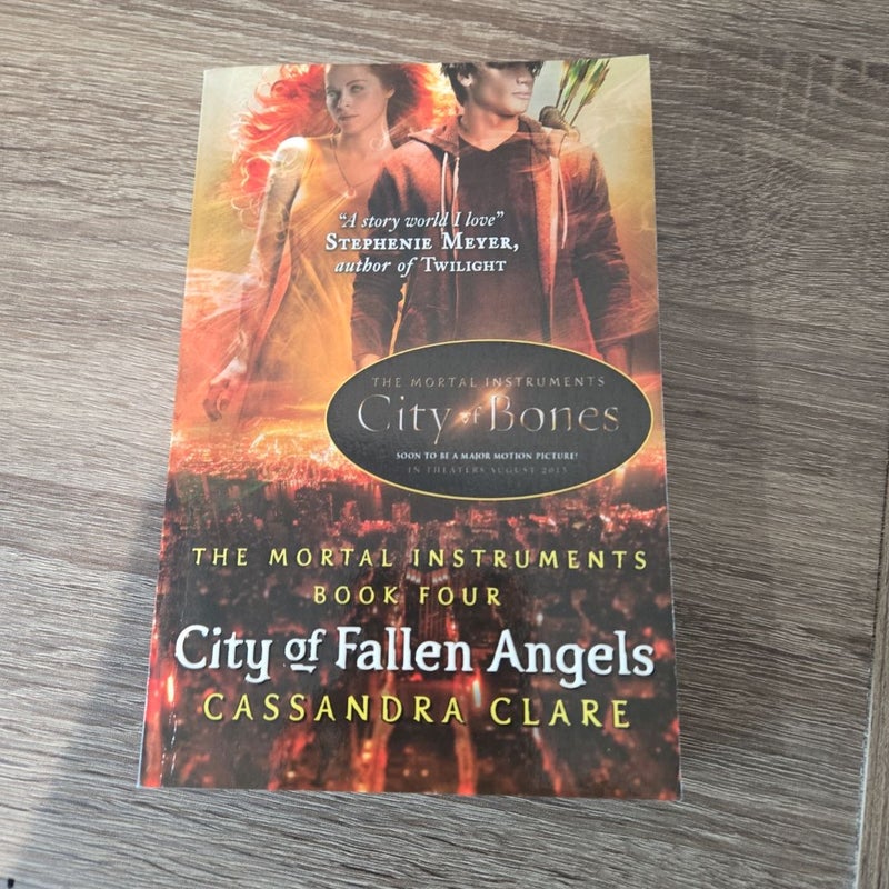 City of Fallen Angels