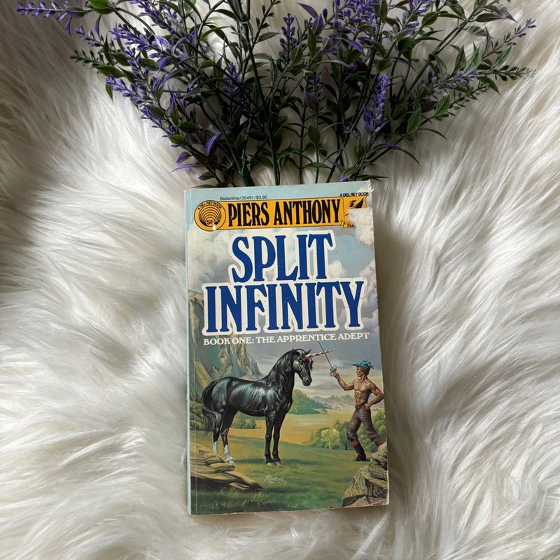 Split Infinity - Book One: The Apprentice Adept