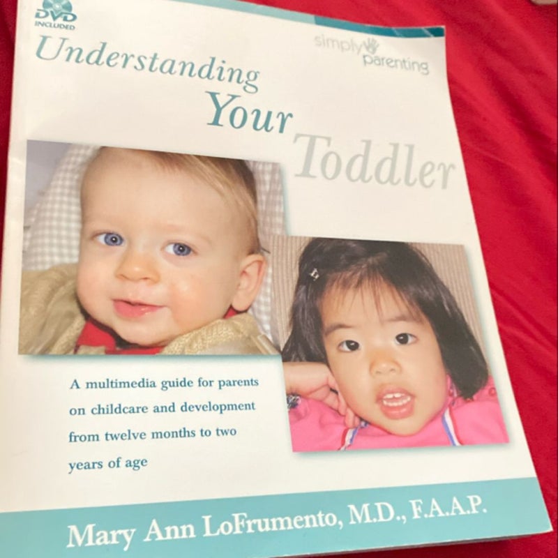 Understanding Your Toddler