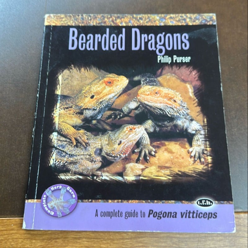 Bearded Dragons