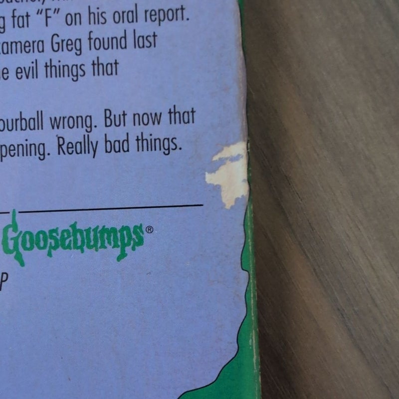 Goosebumps: Say Cheese and Die-- Again!