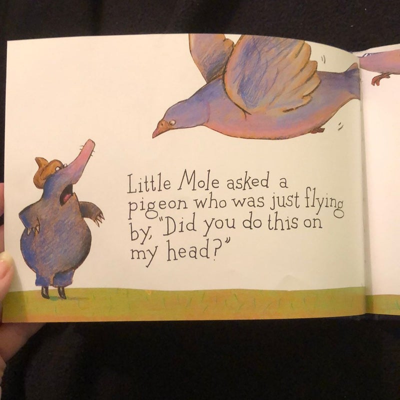 The Story of the Little Mole Who Went in Search of Whodunit Mini Edition