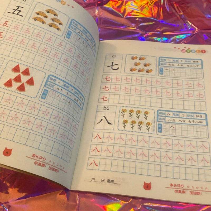 Chinese Workbook+Study Sheets 