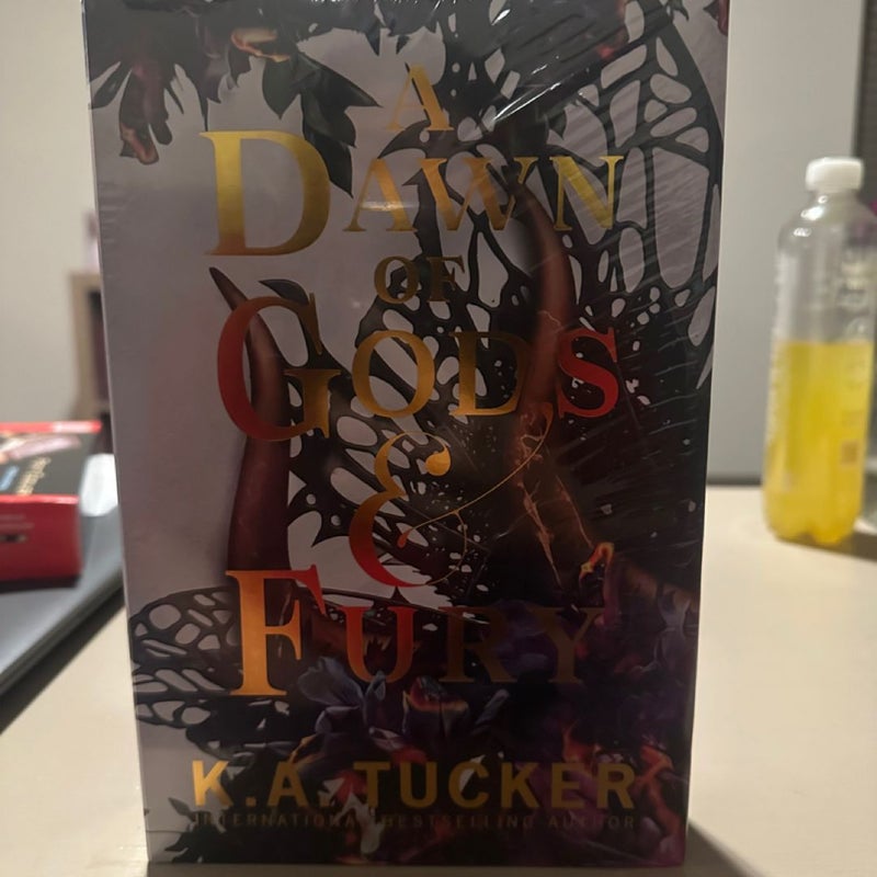 Bookish Box A Dawn of Gods and Fury