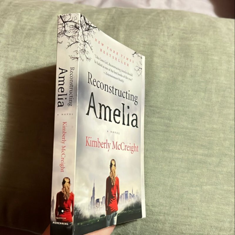 Reconstructing Amelia